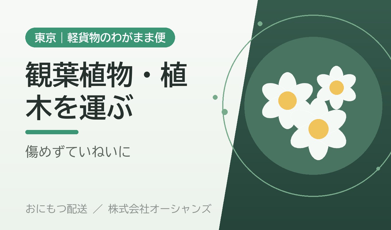 観葉植物・大型の植木を運びたい｜植物を傷めず運ぶ方法【東京・わがまま便】